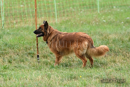 AAH Bundesh&uuml;ten 2026 / Bild 117 von 214 / 13.09.2026 09:40 / DSC_0121.JPG