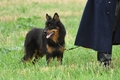 AAH Bundesh&uuml;ten 2026 / Bild 177 von 214 / 13.09.2026 12:39 / DSC_1419.JPG