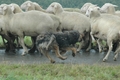 Vorschau von Bild 20/27