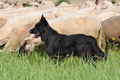 AAH Freundschaftshüten / Bild 7 von 76 / 27.07.2014 10:25 / DSC_6026.JPG