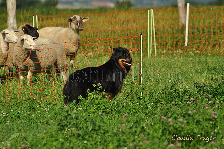 AAH Freundschaftshüten / Bild 5 von 124 / 23.07.2017 09:42 / DSC_2636.JPG