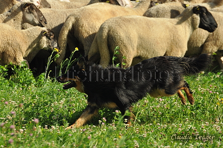 AAH Freundschaftsh&uuml;ten / Bild 7 von 124 / 23.07.2017 09:47 / DSC_2684.JPG