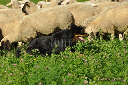 AAH Freundschaftshüten / Bild 11 von 124 / 23.07.2017 09:55 / DSC_2779.JPG