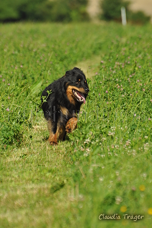 AAH Freundschaftshüten / Bild 12 von 124 / 23.07.2017 09:56 / DSC_2805.JPG