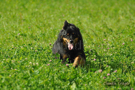 AAH Freundschaftshüten / Bild 13 von 124 / 23.07.2017 10:00 / DSC_2839.JPG