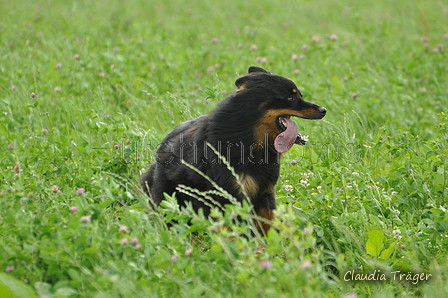 AAH Freundschaftshüten / Bild 15 von 124 / 23.07.2017 10:04 / DSC_2891.JPG