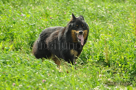 AAH Freundschaftshüten / Bild 18 von 124 / 23.07.2017 10:04 / DSC_2901.JPG