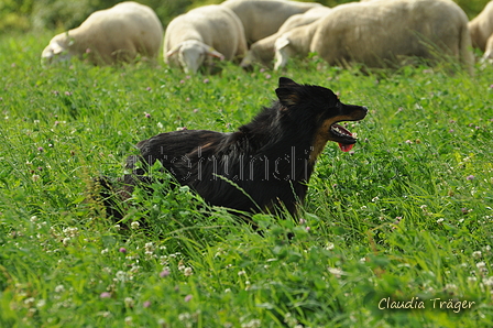 AAH Freundschaftshüten / Bild 20 von 124 / 23.07.2017 10:06 / DSC_2953.JPG