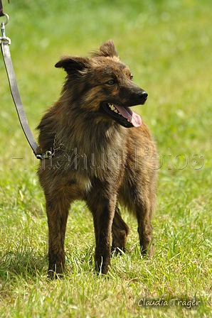 AAH Freundschaftshüten / Bild 51 von 124 / 23.07.2017 11:30 / DSC_3857.JPG