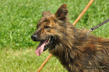 AAH Freundschaftshüten / Bild 53 von 124 / 23.07.2017 11:31 / DSC_3872.JPG