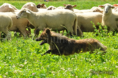 AAH Freundschaftshüten / Bild 63 von 124 / 23.07.2017 11:45 / DSC_3988.JPG