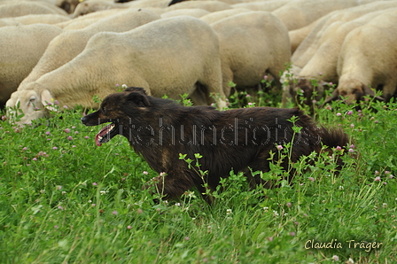 AAH Freundschaftshüten / Bild 66 von 124 / 23.07.2017 11:56 / DSC_4137.JPG