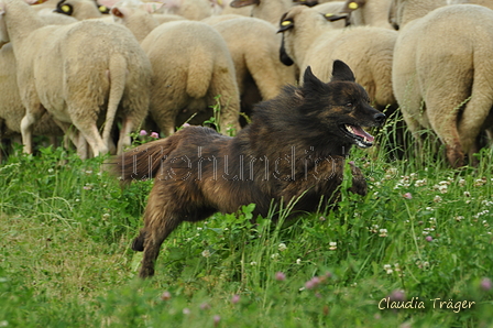 AAH Freundschaftshüten / Bild 67 von 124 / 23.07.2017 11:57 / DSC_4152.JPG