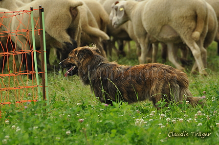 AAH Freundschaftshüten / Bild 69 von 124 / 23.07.2017 12:14 / DSC_4290.JPG