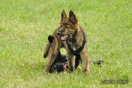 AAH Freundschaftshüten / Bild 72 von 124 / 23.07.2017 12:23 / DSC_4362.JPG