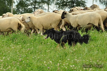 AAH Freundschaftshüten / Bild 95 von 124 / 23.07.2017 14:12 / DSC_4984.JPG