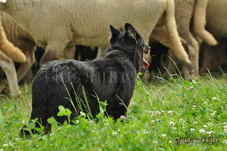 AAH Freundschaftshüten / Bild 114 von 124 / 23.07.2017 14:41 / DSC_5553.JPG