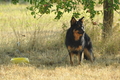 AAH Freundschaftshüten / Bild 1 von 151 / 29.07.2018 08:42 / DSC_6393.JPG