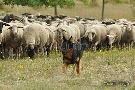 AAH Freundschaftshüten / Bild 4 von 151 / 29.07.2018 10:05 / DSC_6617.JPG