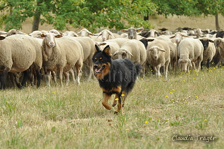 AAH Freundschaftshüten / Bild 6 von 151 / 29.07.2018 10:05 / DSC_6625.JPG