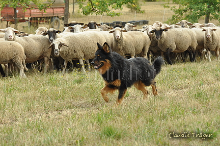 AAH Freundschaftshüten / Bild 8 von 151 / 29.07.2018 10:05 / DSC_6629.JPG