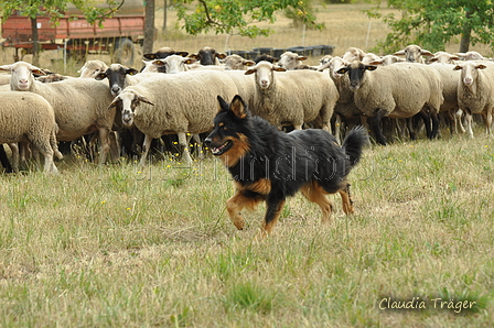 AAH Freundschaftshüten / Bild 8 von 151 / 29.07.2018 10:05 / DSC_6629.JPG