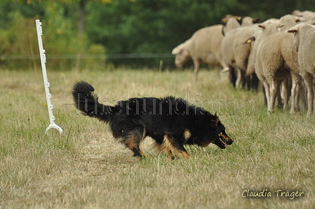 AAH Freundschaftshüten / Bild 10 von 151 / 29.07.2018 10:06 / DSC_6655.JPG