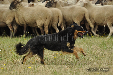 AAH Freundschaftshüten / Bild 11 von 151 / 29.07.2018 10:09 / DSC_6697.JPG