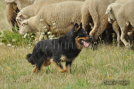 AAH Freundschaftshüten / Bild 13 von 151 / 29.07.2018 10:12 / DSC_6789.JPG