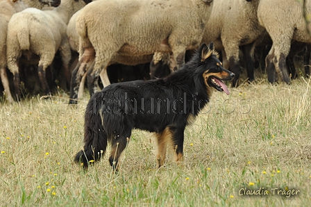 AAH Freundschaftshüten / Bild 14 von 151 / 29.07.2018 10:12 / DSC_6803.JPG