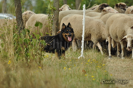 AAH Freundschaftshüten / Bild 16 von 151 / 29.07.2018 10:13 / DSC_6826.JPG