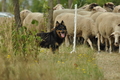 AAH Freundschaftshüten / Bild 16 von 151 / 29.07.2018 10:13 / DSC_6826.JPG