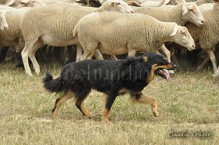 AAH Freundschaftshüten / Bild 17 von 151 / 29.07.2018 10:14 / DSC_6845.JPG