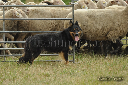 AAH Freundschaftshüten / Bild 19 von 151 / 29.07.2018 10:14 / DSC_6869.JPG