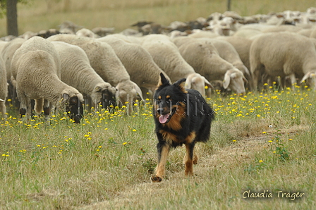 AAH Freundschaftshüten / Bild 21 von 151 / 29.07.2018 10:22 / DSC_7012.JPG