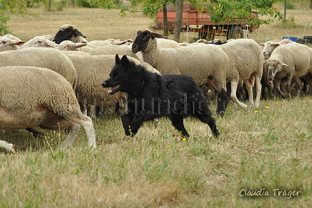 AAH Freundschaftshüten / Bild 30 von 151 / 29.07.2018 10:50 / DSC_7318.JPG