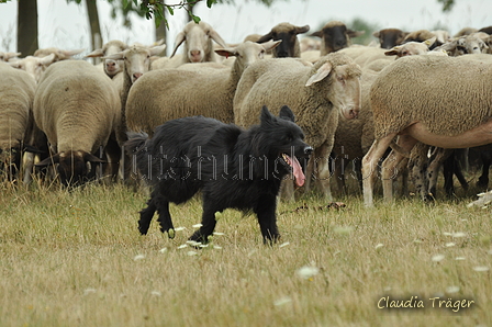 AAH Freundschaftshüten / Bild 32 von 151 / 29.07.2018 10:56 / DSC_7453.JPG