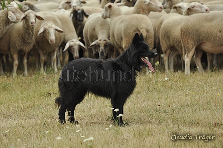 AAH Freundschaftshüten / Bild 38 von 151 / 29.07.2018 10:58 / DSC_7553.JPG