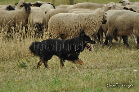 AAH Freundschaftshüten / Bild 41 von 151 / 29.07.2018 11:02 / DSC_7624.JPG
