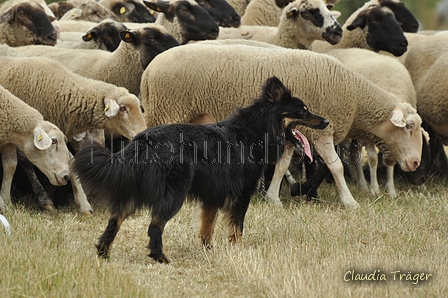 AAH Freundschaftshüten / Bild 47 von 151 / 29.07.2018 11:24 / DSC_7972.JPG