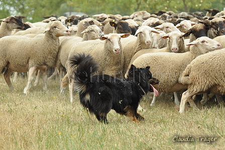 AAH Freundschaftshüten / Bild 51 von 151 / 29.07.2018 11:26 / DSC_8000.JPG