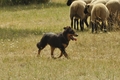 Vorschau von Bild 121 von 151