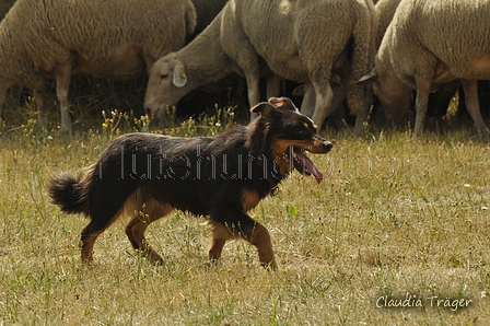 AAH Freundschaftshüten / Bild 126 von 151 / 29.07.2018 14:16 / DSC_9773.JPG