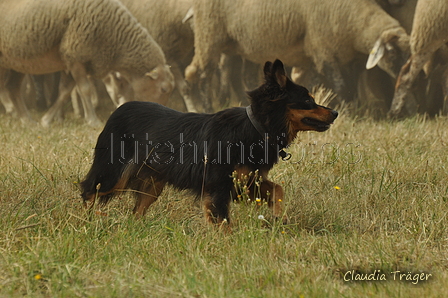 AAH Freundschaftshüten / Bild 130 von 151 / 29.07.2018 14:21 / DSC_9926.JPG