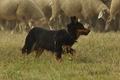 Vorschau von Bild 130 von 151