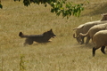 AAH Freundschaftshüten / Bild 141 von 151 / 29.07.2018 14:30 / DSC_0118.JPG