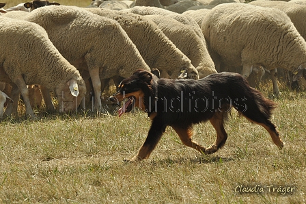 AAH Freundschaftshüten / Bild 142 von 151 / 29.07.2018 14:31 / DSC_0142.JPG