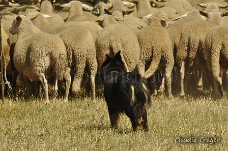 AAH Freundschaftshüten / Bild 146 von 151 / 29.07.2018 14:34 / DSC_0233.JPG