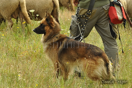 AAH Freundschaftshüten / Bild 4 von 88 / 28.07.2019 08:58 / DSC_5043.JPG