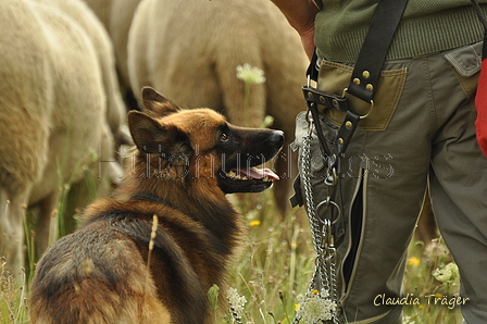 AAH Freundschaftshüten / Bild 5 von 88 / 28.07.2019 08:59 / DSC_5051.JPG